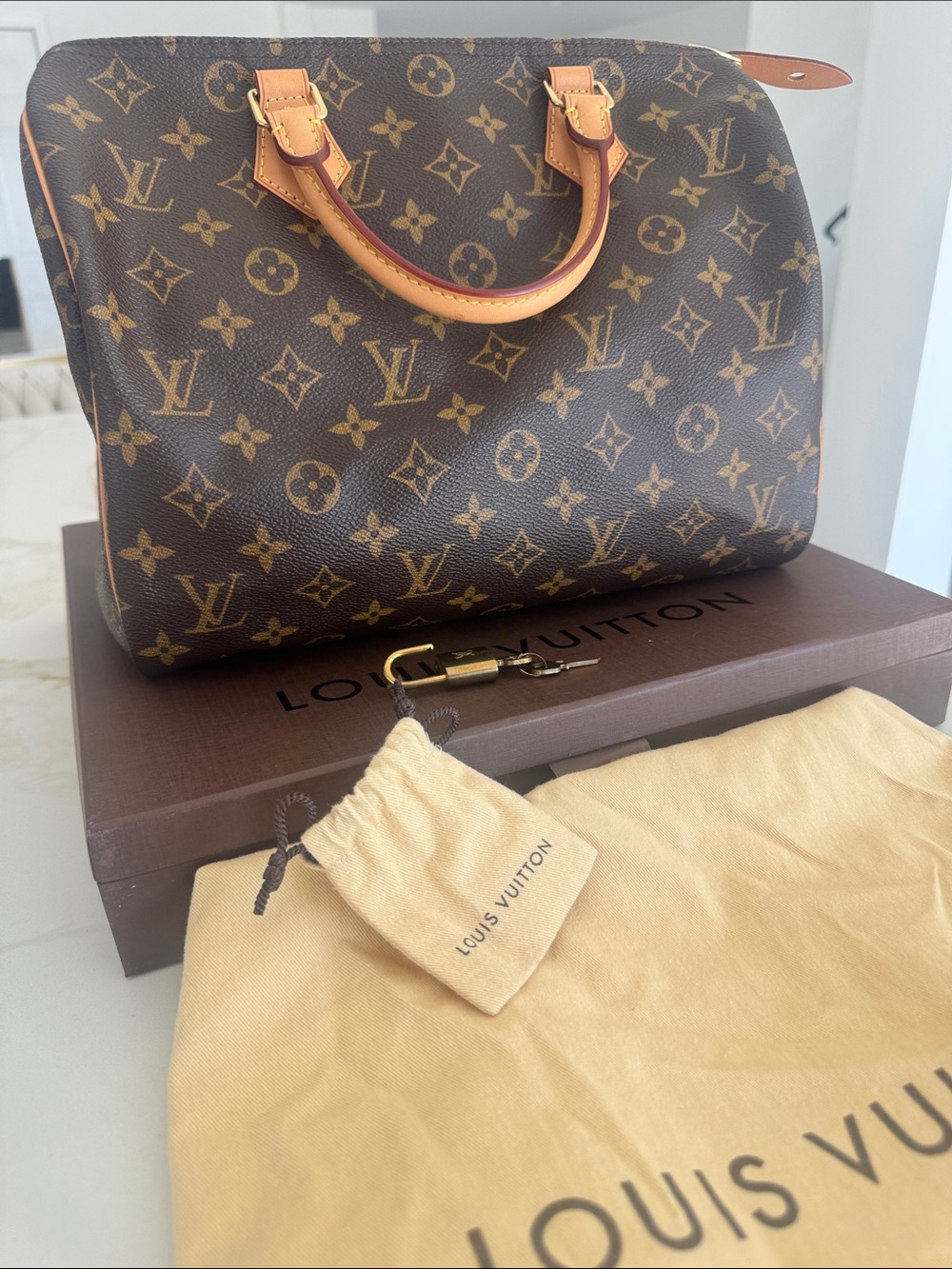 Louis Vuitton Monogram Canvas Satchel with Vachetta Trim
